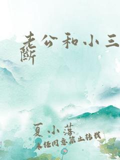 老公和小三无法断