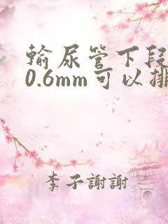 输尿管下段结石0.6mm可以排出来吗