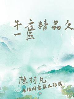 午夜精品久久久一区