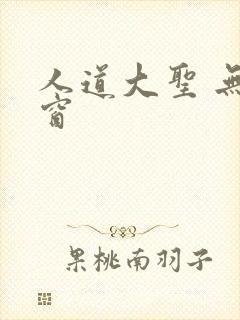 人道大圣 无弹窗