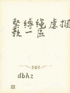 紧缚绳虐捆绑调教一区