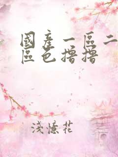 国产一区二区三区色撸撸