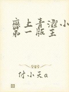 恋上青涩小姨 第一版主