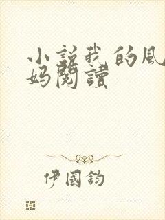 小说我的风流妈妈阅读
