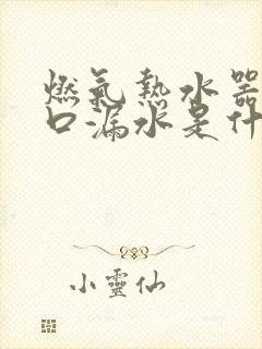 燃气热水器出水口漏水是什么原因