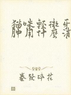 猫咪轻微牙龈红肿用什么消炎药