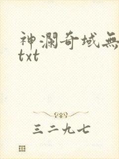 神澜奇域无双珠txt