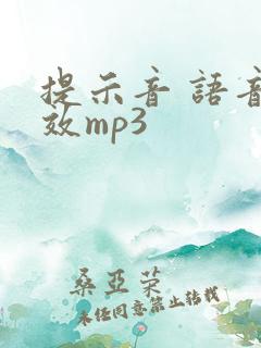 提示音 语音音效mp3