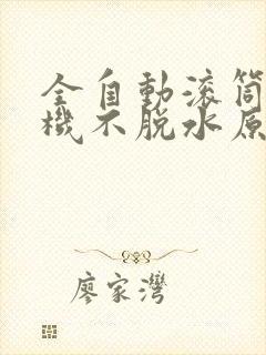 全自动滚筒洗衣机不脱水原因及解决方法