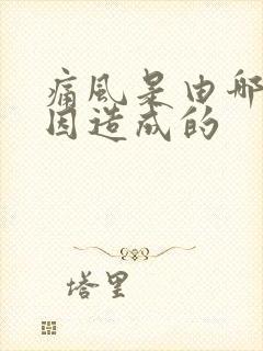 痛风是由哪些原因造成的