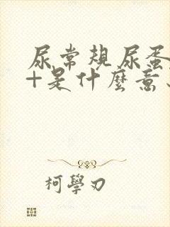 尿常规尿蛋白1+是什么意思,严重吗