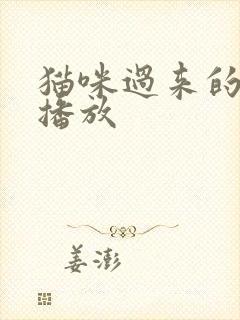 猫咪过来的叫声播放