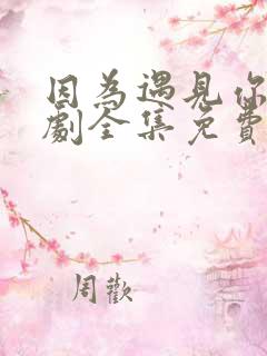 因为遇见你电视剧全集免费高清在线