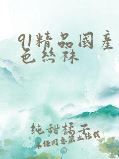 91精品国产黑色丝袜