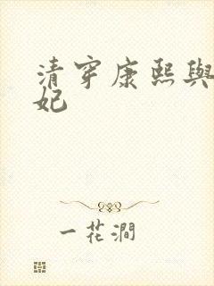 清穿康熙与太子妃