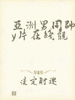 亚洲男同帅gay片在线观