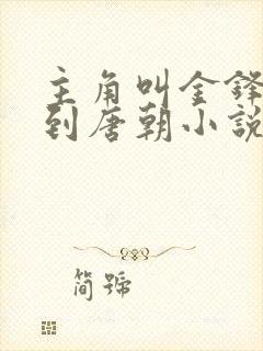 主角叫金锋穿越到唐朝小说