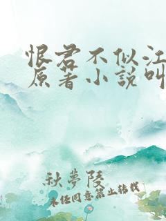 恨君不似江楼月原著小说叫什么