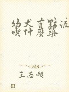 幼犬有点流鼻涕吃什么药