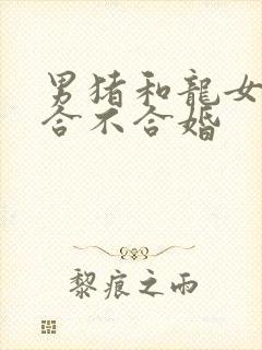 男猪和龙女属相合不合婚