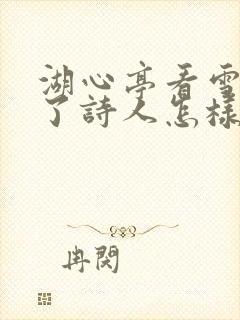 湖心亭看雪表达了诗人怎样的情感