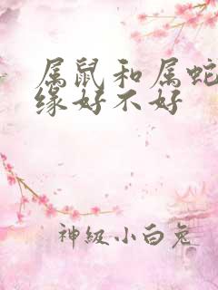 属鼠和属蛇的姻缘好不好