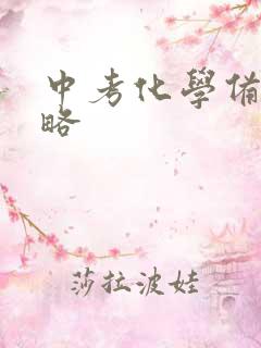 中考化学备考策略