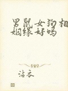 男鼠女狗相配的姻缘好吗