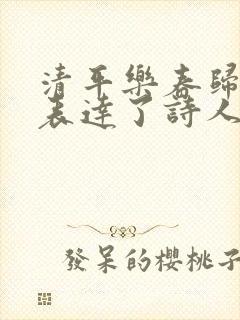 清平乐春归何处表达了诗人怎样的情感