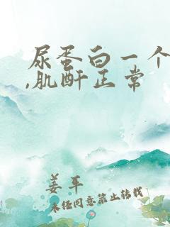 尿蛋白一个加号,肌酐正常