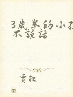 3岁半的小孩还不说话