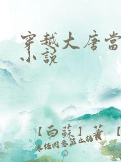 穿越大唐当闲王小说