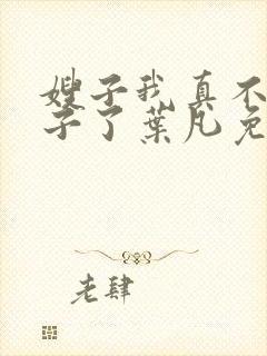 嫂子我真不是傻子了叶凡免费