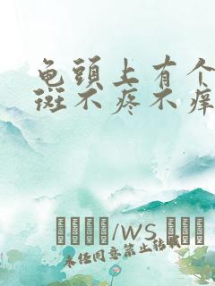 龟头上有个小红斑不疼不痒怎么回事