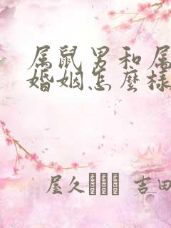 属鼠男和属龙女婚姻怎么样