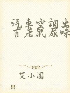 汽车空调出风口有老鼠尿味怎么处理