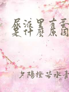 尿液里有蛋白质是什么原因