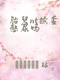 胎儿nt检查要憋尿吗