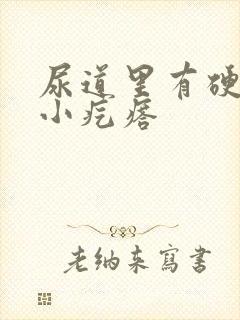 尿道里有硬硬的小疙瘩