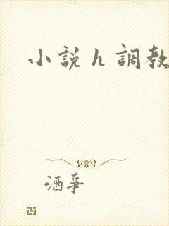 小说 h 调教