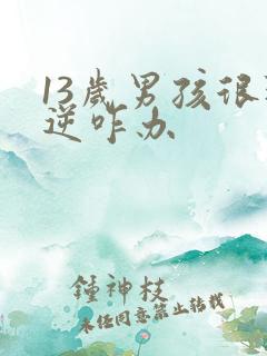 13岁男孩很叛逆咋办