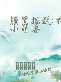 腹黑总裁:不敌小萌妻