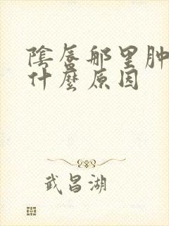 阴唇那里肿了是什么原因