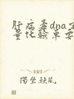 肝病毒dna定量化验单要怎么看