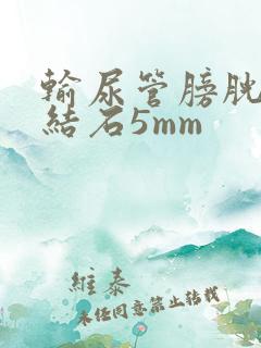 输尿管膀胱壁段结石5mm