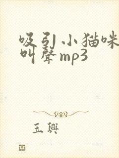 吸引小猫咪的猫叫声mp3