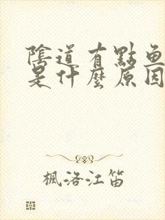 阴道有点鱼腥味是什么原因