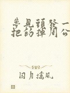 梦见头发一把一把的掉周公解梦