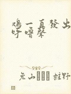 鸡一直发出呼噜呼噜声