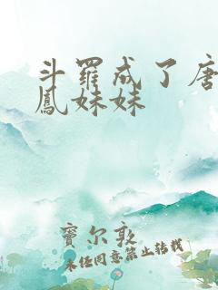 斗罗成了唐三龙凤妹妹